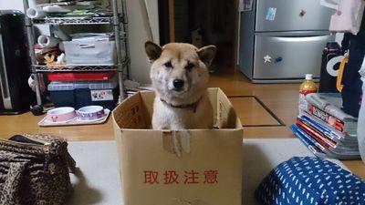 手荒れに悩む44歳…。