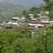 zahid_news321's profile image