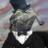 LizardStresser's profile image