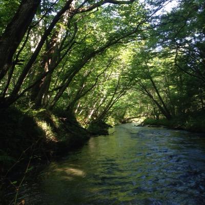とりあえず、気の向くままに始めてみた。 一応生まれは違うが北海道民。
ゲームと競馬好き人間。大戦シリーズで長く遊んでます。