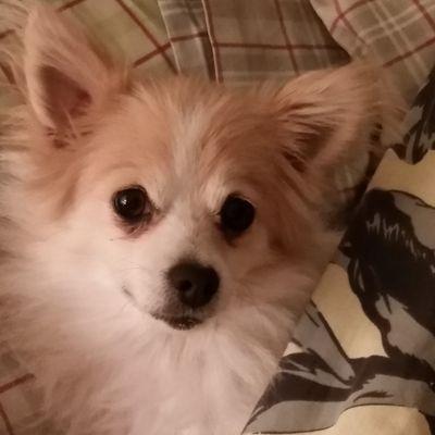 shadeysue's profile picture. I work at Sunshine