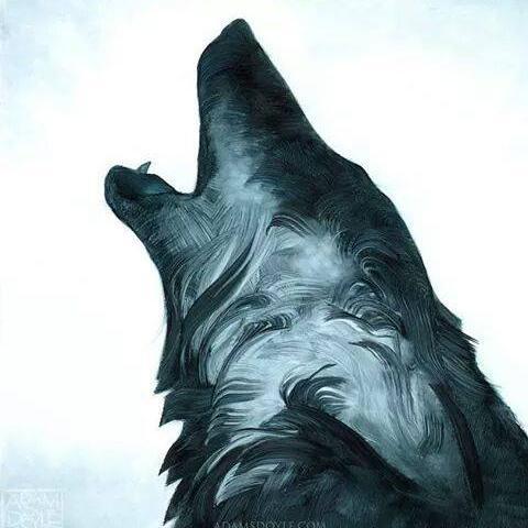 Sosophia345's profile picture. 