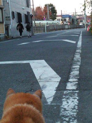 いつの間にか還暦を迎えてしまった❗なんと言うことでしょう。。。急にお金持ちにならない限り、あと５年は働く予定😅みなさん、よろしくね(σ*´∀｀)