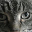 Ineke Broere (@236692840e7c410) Twitter