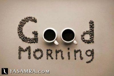 Warafi321T's profile picture. mohammed