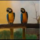 Widad Hassan Mohamed - @widad_mohamed - Twitter