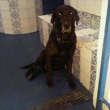 Hijo, hermano, tío, amigo, esposo, humano.