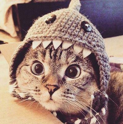 sinanaymaz's profile picture. düşünmüyorum, öylesine varım!