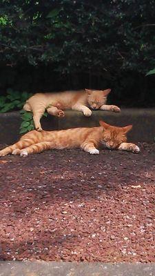 3741Good's profile picture. 