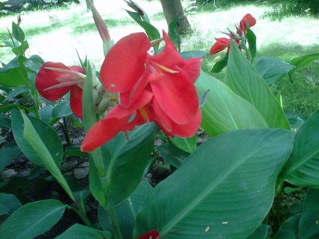 IkkaMita's profile picture. 