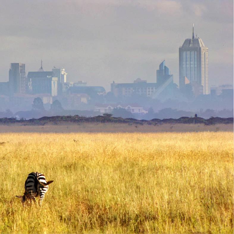 The Urban Displacement Research Project (UDRP) aims to promote academic & policy research on refugees, IDPs & other forced migrants living in cities.