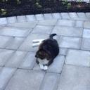 Deborah Gale - @_306472536339 - Twitter