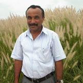 arilpushpa's profile picture. 