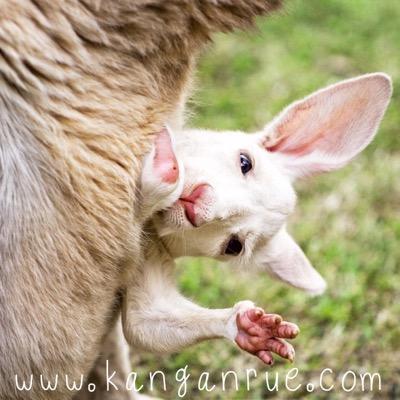 A blog about our big adventure raising Little Miss Rue. Natural parenting tips, family friendly recipes, DIY projects, and our virtual baby book.