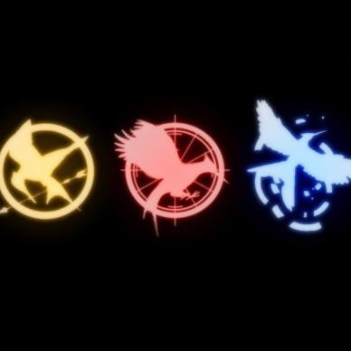 Love The Hunger Games