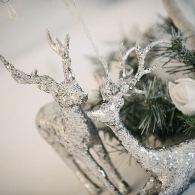 WishTreeWed's profile picture. WishTree Wedding can transform your event with the hire of chair covers, sashes, table decoration, centre pieces and much more.