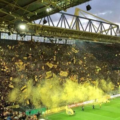 Fliege1989's profile picture. 