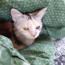 Maritza Aleman - @Claysfreckles - Twitter