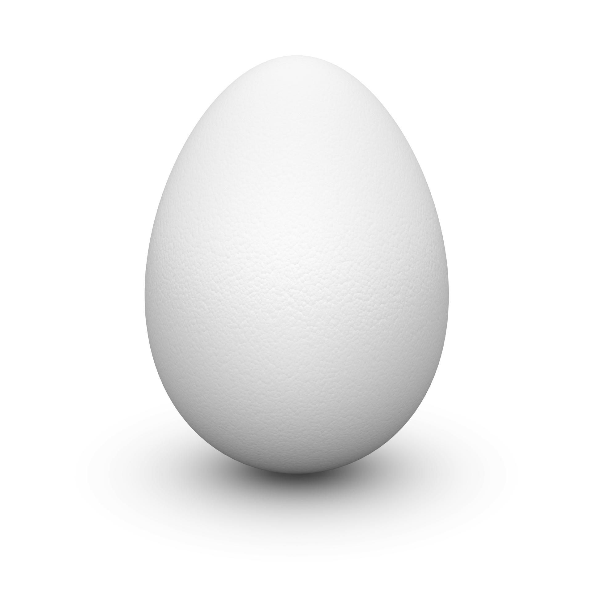 WhenChicksArent's profile picture. 