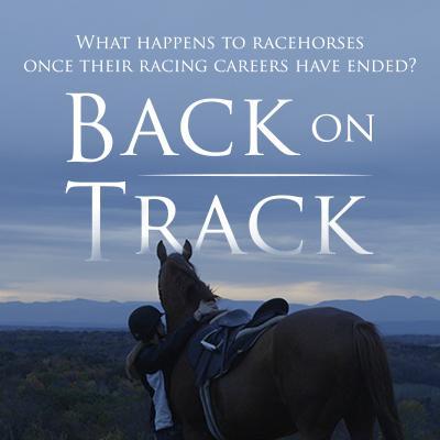 Back on Track is a feature-length documentary about the Thoroughbred horse racing industry, OTTBs, aftercare, & second careers for retired racehorses.