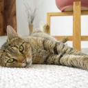 Steven Rusch - @StevenRusch2 - Twitter