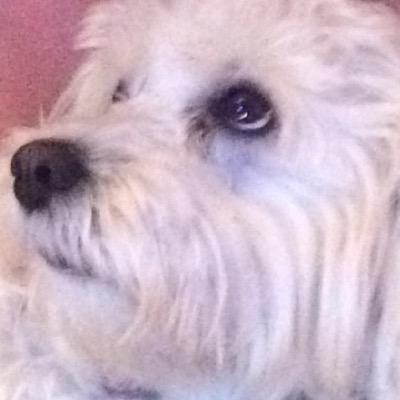 verab01's profile picture. tryna get off the grid, you probably shouldn't follow me