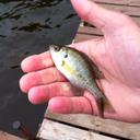 Dave Blackburn - @daveb1313 - Twitter