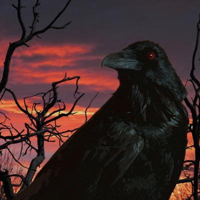 Ravenwolfmoon60's profile picture. Native American activist militant. Former military. Crazy sense of humor. I love animals