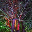 Dawnie - @DawnWarman64 - Twitter