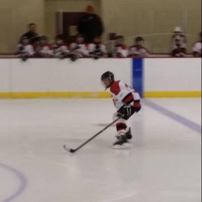 Love Minnesota Wild. Instagram chaderbox_31