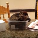 Natalie Walker - @WalkerNataliew5 - Twitter