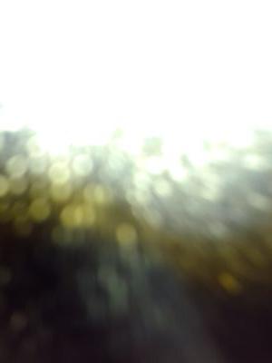 encaessolo's profile picture. 