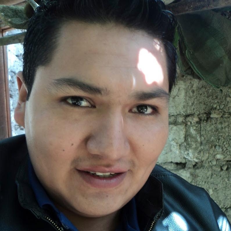 He trabajado en Telcel, Oracle y actualmente en Izzi.