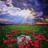 ms_devaraj's profile image