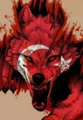 hasan küçük 
galatasaray
farkedermi.eyvallah
yeşilpinar