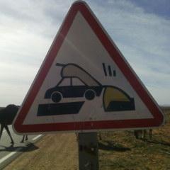 larbibougura's profile picture. 