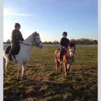 rachel pegg (@rachpegg) 's Twitter Profile Photo rachel pegg (@rachpegg) 's Twitter Profile Photo