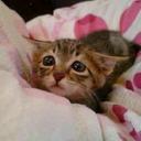 Deena Scott - @aneedttocs - Twitter