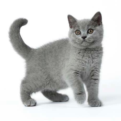 Domenica20031's profile picture. 