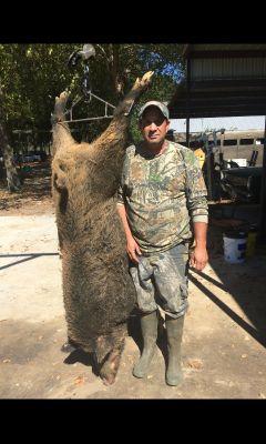 William62843723's profile picture. Nascar fan, deer hunter, crawfisherman