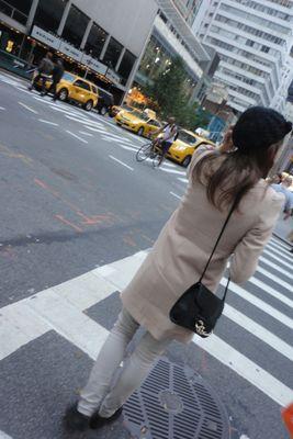 daanilya's profile picture. 