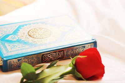 ‏‏اللهم العفو والعافية لي ولأحبتي وللمسلمين والمسلمات الاحياء منهم والأموات** عبادة التأمل والتفكر مايهتم لها حسابي  ** انسخوا**الخاص بلوك **