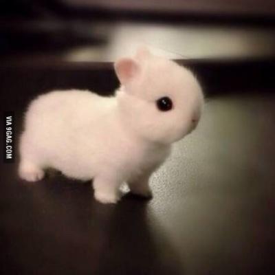 unicornx3lol's profile picture. 