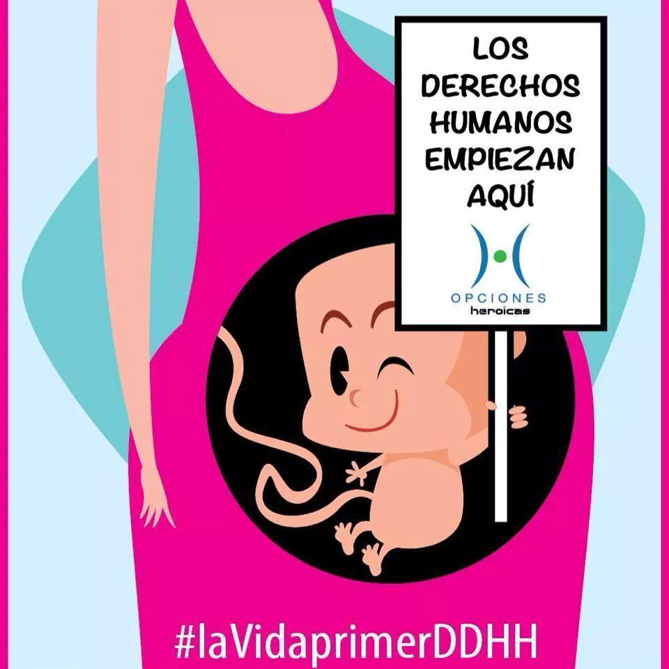 Somos Ciudadanos ordinarios no una organización, y nos une una sola causa a la que llamamos Coahuila por la Vida. ¡No a la despenalización del aborto!