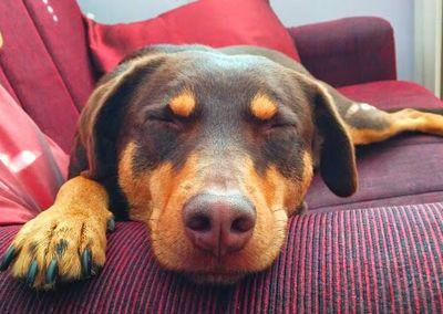 kica80's profile picture. 