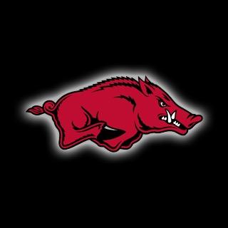 Fan account, not affiliated with the University of Arkansas. Go Hogs! #WPS