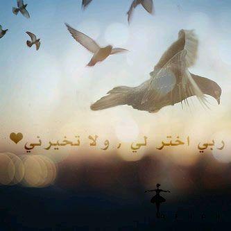 سبحان الله،،،، والحمد لله ،،،،لا اله إلا الله،،،،والله أكبر