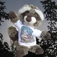 Gugel v. Gugellandia (@gugellandia) 's Twitter Profile Photo Gugel v. Gugellandia (@gugellandia) 's Twitter Profile Photo