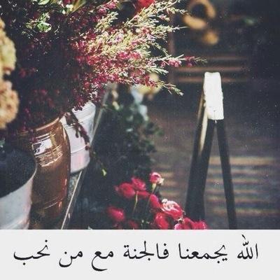 لقد أنشئت هذآ الحساب ليكون صدقة لي ، ولعآئلتي ، ولمن هو ثمينٌ بحياتي ~