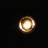kuu_ikuta's profile image